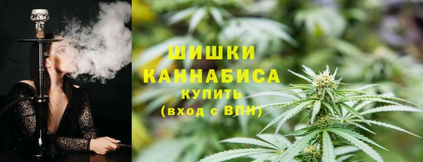 молекула духа Лабытнанги