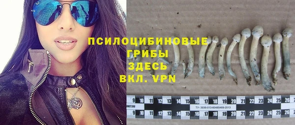молекула духа Лабытнанги