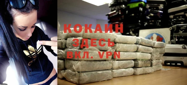 молекула духа Лабытнанги