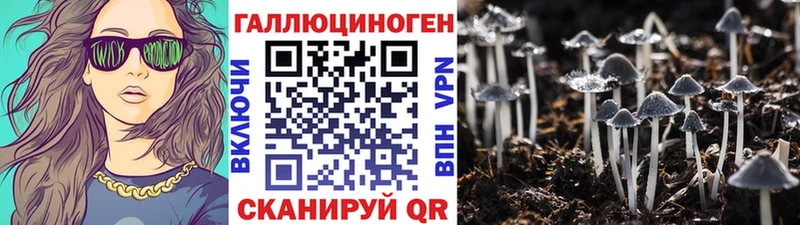 Псилоцибиновые грибы MAGIC MUSHROOMS как найти наркотики Чистополь